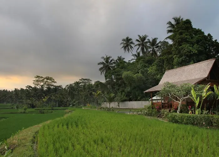 Benisari Batik Garden